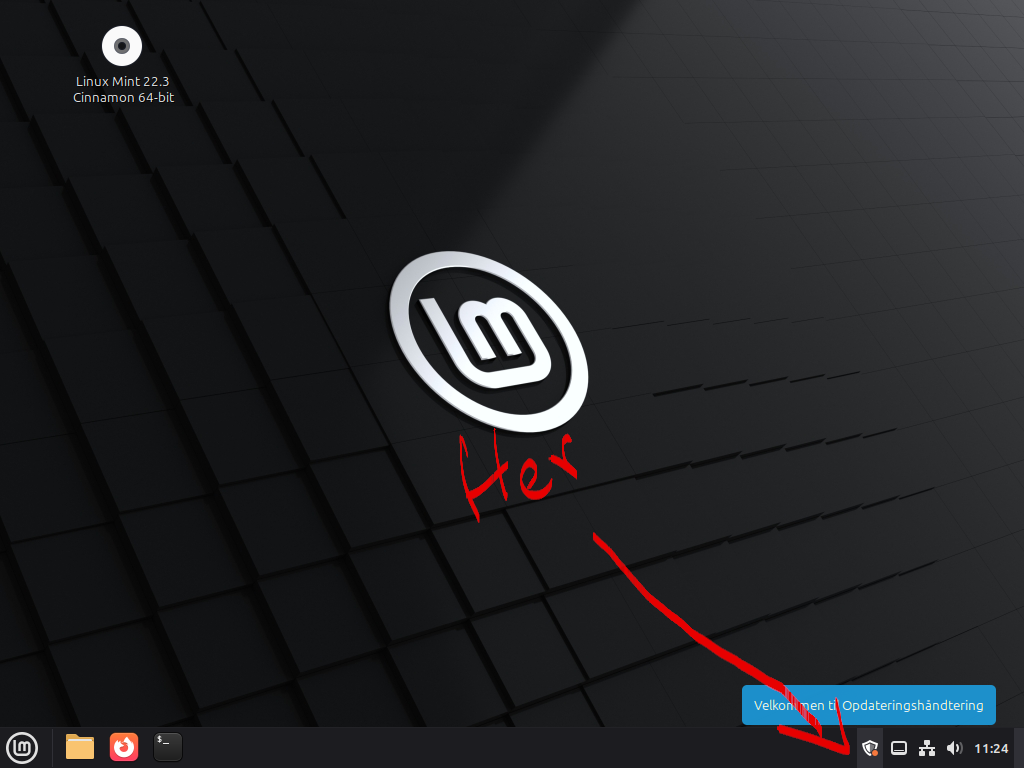 opdateringshåndtering vist